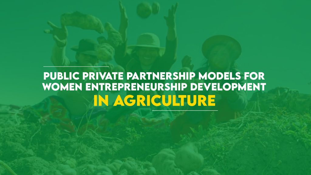 Public Private Partnership Models for Women Entrepreneurship ...
